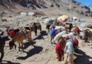 Tras la actualización de la normativa de control, Aconcagua cerró la temporada con resultados positivos en bienestar animal