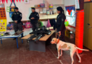 Día del Animal: el Cuerpo de Canes de la Policía de Mendoza abrió sus puertas a estudiantes en la zona Este