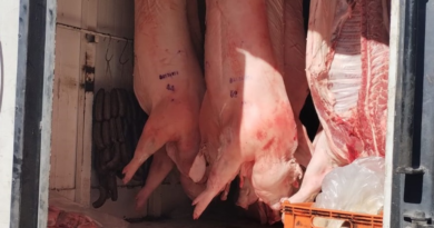 Plan contra el abigeato: decomisan más de 3 toneladas de carne en malas condiciones sanitarias en el Valle de Uco