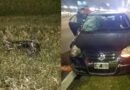 Horror en Panamericana: un niño bajó en bicicleta por una lomada y murió atropellado Horror en Panamericana: un niño bajó en bicicleta por una lomada y murió atropellado