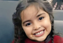 Desaparición de Guadalupe Lucero: la querella pidió el análisis del número telefónico del abuelo paterno