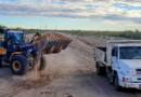 Vialidad Mendoza mejora 480 kilómetros de rutas ganaderas en General Alvear y San Rafael