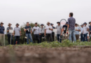 Adiós a la Argentina: una gigante alemana del agro deja el país tras dos décadas