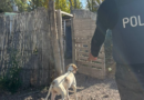 Nuevo accionar de Fito en Junín: siguió huellas y halló elementos robados en una finca