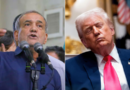 Irán responde a la propuesta de paz de EE. UU.: “Diálogo no es rendición”