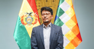 Bolivia denunciará ante la OEA una “estrategia desestabilizadora” vinculada a Evo Morales contra al presidente Bolivia denunciará ante la OEA una “estrategia desestabilizadora” vinculada a Evo Morales contra al presidente