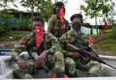 Guerrilla del ELN anuncia cese del fuego unilateral durante el período de elecciones en Colombia Guerrilla del ELN anuncia cese del fuego unilateral durante el período de elecciones en Colombia