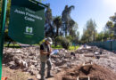 Hallazgos que cuentan la historia: la Ciudad avanza con trabajos arqueológicos en Plaza Cobo