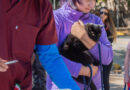 Animales sanos, vecinos felices: nuevo cronograma de vacunación y desparasitación gratuita Animales sanos, vecinos felices: nuevo cronograma de vacunación y desparasitación gratuita