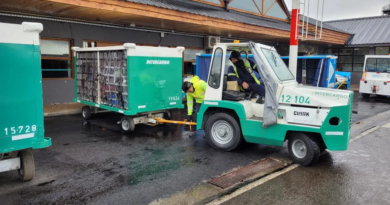 Privatización de Intercargo: el Gobierno extendió los plazos de la licitación y ajustó el procedimiento