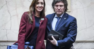 Milei volverá a excluir a Villarruel en el acto por el Día de la Bandera Milei volverá a excluir a Villarruel en el acto por el Día de la Bandera