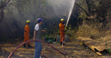 Denuncia e investigación judicial por incendios en Cafayate Denuncia e investigación judicial por incendios en Cafayate