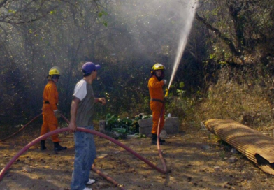 Denuncia e investigación judicial por incendios en Cafayate Denuncia e investigación judicial por incendios en Cafayate