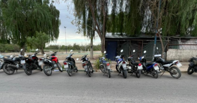 Plan Integral de Seguridad Vial: la Policía de Mendoza realizó controles preventivos y retuvo 14 motocicletas Plan Integral de Seguridad Vial: la Policía de Mendoza realizó controles preventivos y retuvo 14 motocicletas