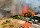 España sufrió la pérdida de más de 240.000 hectáreas por incendios forestales España sufrió la pérdida de más de 240.000 hectáreas por incendios forestales