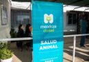 Septiembre llega con un renovado esquema de atención veterinaria gratuita en la capital Septiembre llega con un renovado esquema de atención veterinaria gratuita en la capital