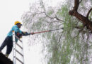 La Ciudad de Mendoza informa cronograma de servicios públicos para el comienzo de agosto La Ciudad de Mendoza informa cronograma de servicios públicos para el comienzo de agosto