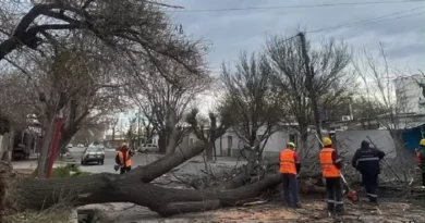 El Zonda castigó con fuerza al Gran Mendoza: serios daños en varios departamentos El Zonda castigó con fuerza al Gran Mendoza: serios daños en varios departamentos