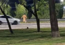 Identificaron al conductor que atropelló al menor en el Acceso Este y no será imputado Identificaron al conductor que atropelló al menor en el Acceso Este y no será imputado