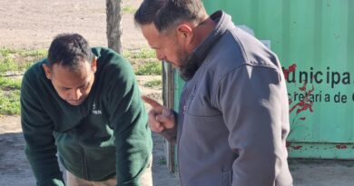 Operativo Lobesia 26/27: el Iscamen comienza la segunda etapa del plan de control y alcanza a más de 1.800 productores del oasis Este Operativo Lobesia 26/27: el Iscamen comienza la segunda etapa del plan de control y alcanza a más de 1.800 productores del oasis Este
