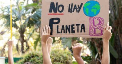 Más de 120 defensores ambientales fueron asesinados en 2025 y América Latina concentró el 85% de los casos