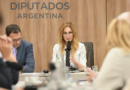 Lilia Lemoine: “Los recursos diplomáticos de este gobierno son mucho más fuertes que los del kirchnerismo” Lilia Lemoine: “Los recursos diplomáticos de este gobierno son mucho más fuertes que los del kirchnerismo”