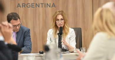 Lilia Lemoine: “Los recursos diplomáticos de este gobierno son mucho más fuertes que los del kirchnerismo”