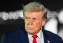 Trump y altos ejecutivos de IA firman controles voluntarios «moralmente vinculantes» Trump y altos ejecutivos de IA firman controles voluntarios «moralmente vinculantes»
