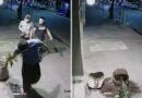 Tucumán: rompieron una maceta de un local, los escracharon por redes y repararon los destrozos Tucumán: rompieron una maceta de un local, los escracharon por redes y repararon los destrozos