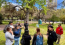 La Ciudad de Mendoza capacitó a su personal de Turismo sobre el patrimonio natural del arbolado urbano
