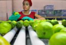 Mendoza será sede de una capacitación sobre producción orgánica para fortalecer la cadena frutihortícola