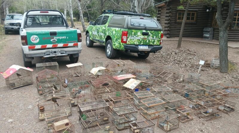 Más de 130 aves silvestres fueron recuperadas en operativos de control y trasladadas al Ecoparque
