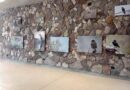El Ecoparque celebra el Mes de las Aves con una muestra fotográfica y un curso gratuito El Ecoparque celebra el Mes de las Aves con una muestra fotográfica y un curso gratuito