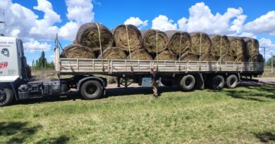 El Gobierno de Mendoza asiste a productores ganaderos afectados por las contingencias climáticas en el Valle de Uco y el sur provincial