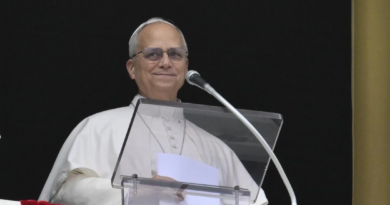 El Papa tuvo una “evolución posoperatoria normal” y caminó por la habitación El Papa tuvo una “evolución posoperatoria normal” y caminó por la habitación