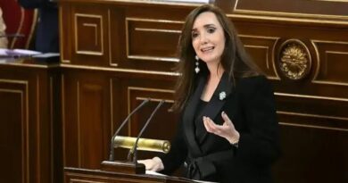 En Madrid, Villarruel defendió la política industrial y volvió a diferenciarse del Gobierno