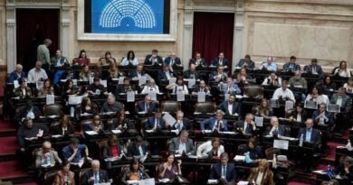 Ley de Discapacidad: el oficialismo logró el apoyo de UxP y se aprobó el proyecto con una mayoría abrumadora Ley de Discapacidad: el oficialismo logró el apoyo de UxP y se aprobó el proyecto con una mayoría abrumadora