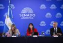 Senado: se avanza con la reforma de la Ley de Salud Mental: habilitan internaciones involuntarias y suman adicciones Senado: se avanza con la reforma de la Ley de Salud Mental: habilitan internaciones involuntarias y suman adicciones