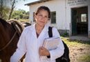 “Múltiples lesiones punzocortantes”: se conoció el resultado de la autopsia de Nancy Godoy “Múltiples lesiones punzocortantes”: se conoció el resultado de la autopsia de Nancy Godoy